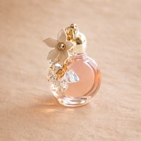 浄化の秘油