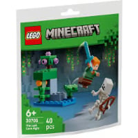 【新品・正規品】レゴ マインクラフト #30705 繁茂した洞窟 / LEGO Minecraft