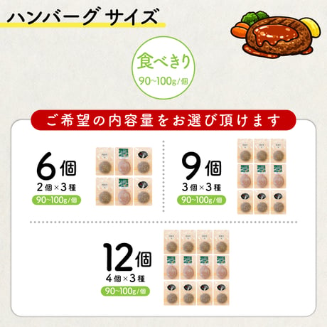 ハンバーグ 3種食べ比べセット | 冷凍 佐賀牛 黒豚 牛肉100％ 豚肉 おすすめ 人気 通販