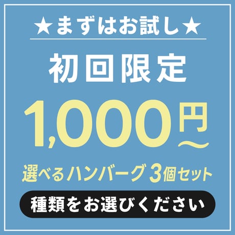 ハンバーグ お試し 食べ比べ セット | 冷凍 佐賀牛 黒豚 牛肉 豚肉 おすすめ 人気 通販