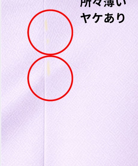 訪問着　手描き友禅 花草文｜らくらく着物