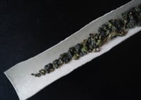 2025 松崗清香烏龍茶