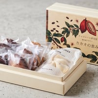 カカオの恵み（焼き菓子ギフト）