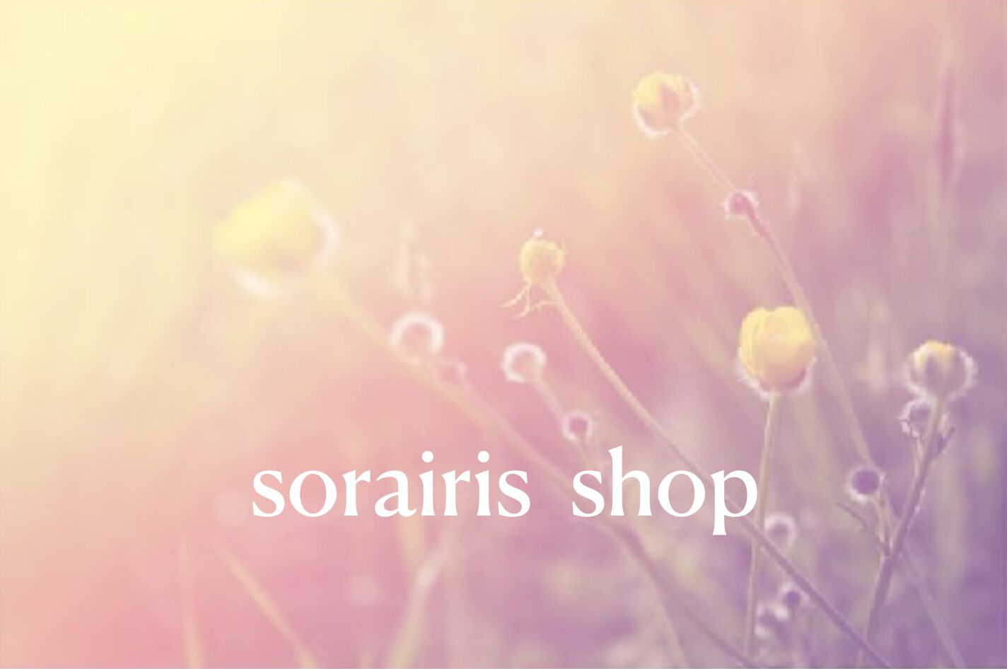 sorairis STORE