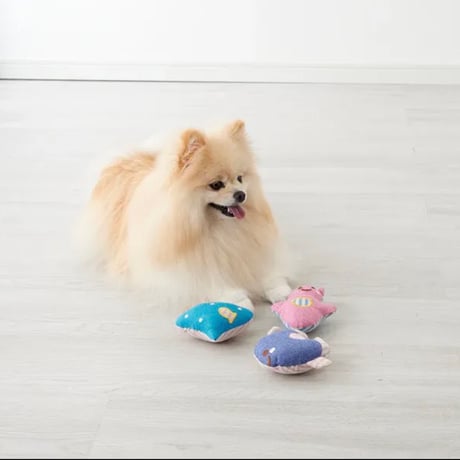 かむかむマリン