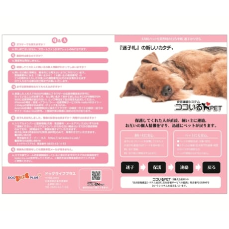迷子札　Ｍサイズ