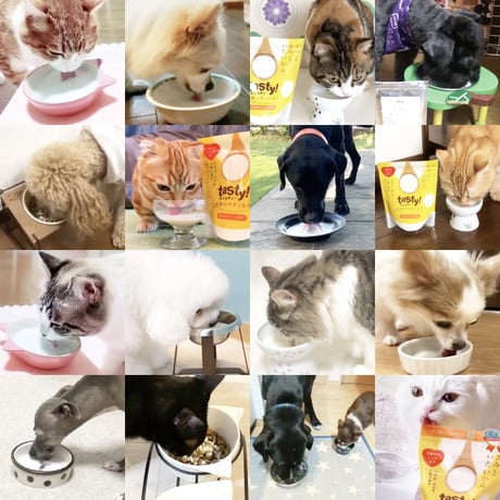 tasty!　天使のヤギミルク