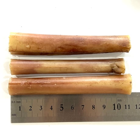 鹿骨（シカボーンチュー） S