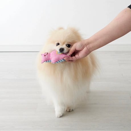 かむかむマリン