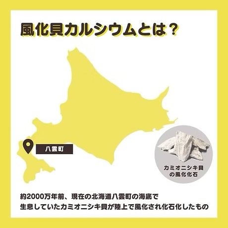 カルシウムSIMAパウダー