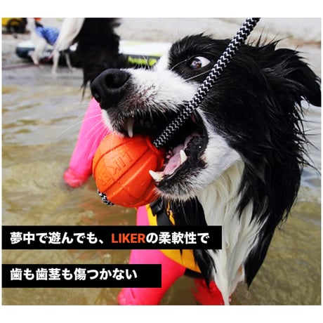 LIKER (ライカー)魔法のボール・ベルト