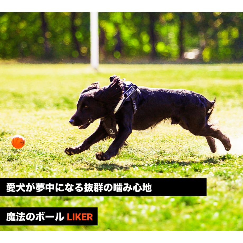 69df13e0928f97b84e8c3246