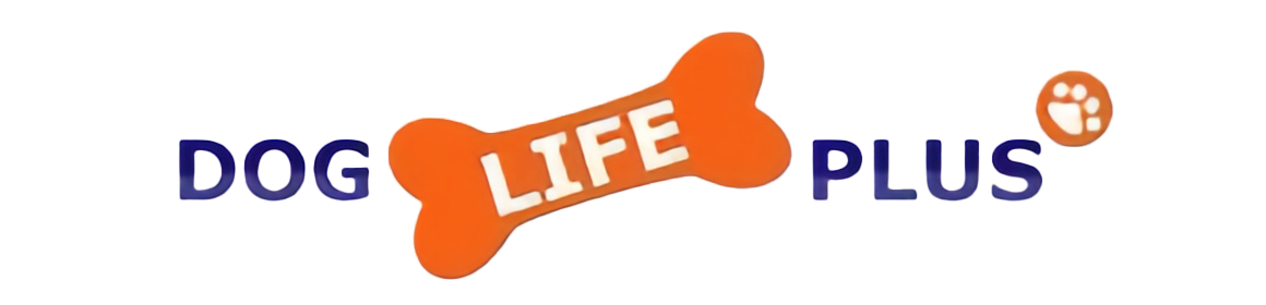 犬とオーナーのためのお店　DOG LIFE PLUS