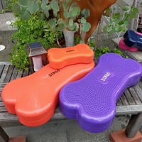 DINGO 　バランスディスク　ボーンM　オレンジ