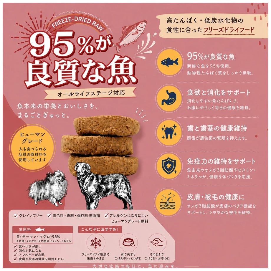 6a6ace2e7f5a1014ac595c27