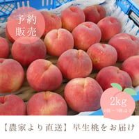 〈2026年予約販売〉【農家より直送】早生桃２kg