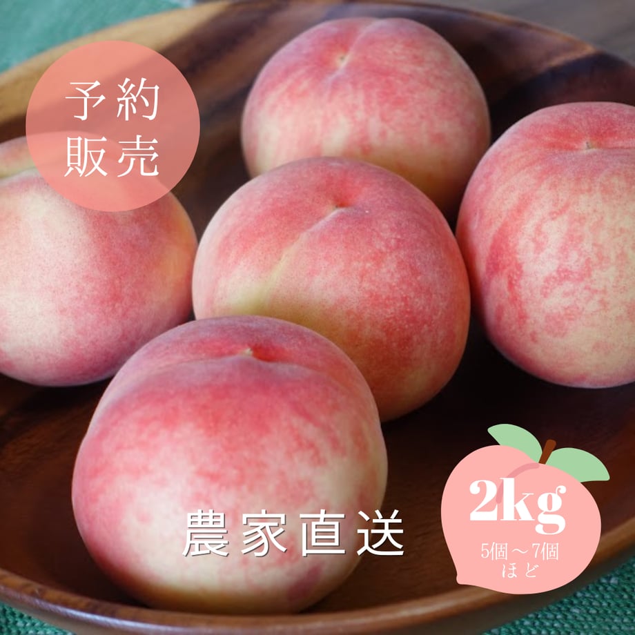 6a435ff3ff407e56b0ba7038