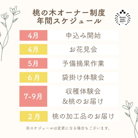再販中（7/3（金）13:00〜7/6（月）11:59まで）【福島県国見町】桃の木オーナー制度2026／ベーシックプラン（1品種）又は食べ比べプラン ※桃の発送：2026年7月下旬〜9月中旬予定