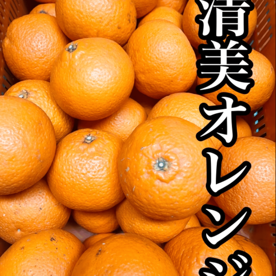 69be2f8a2d6e830d4b2786fe