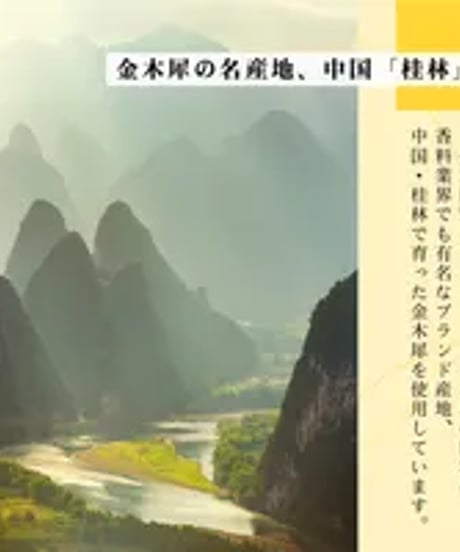 ネイルオイル 金木犀