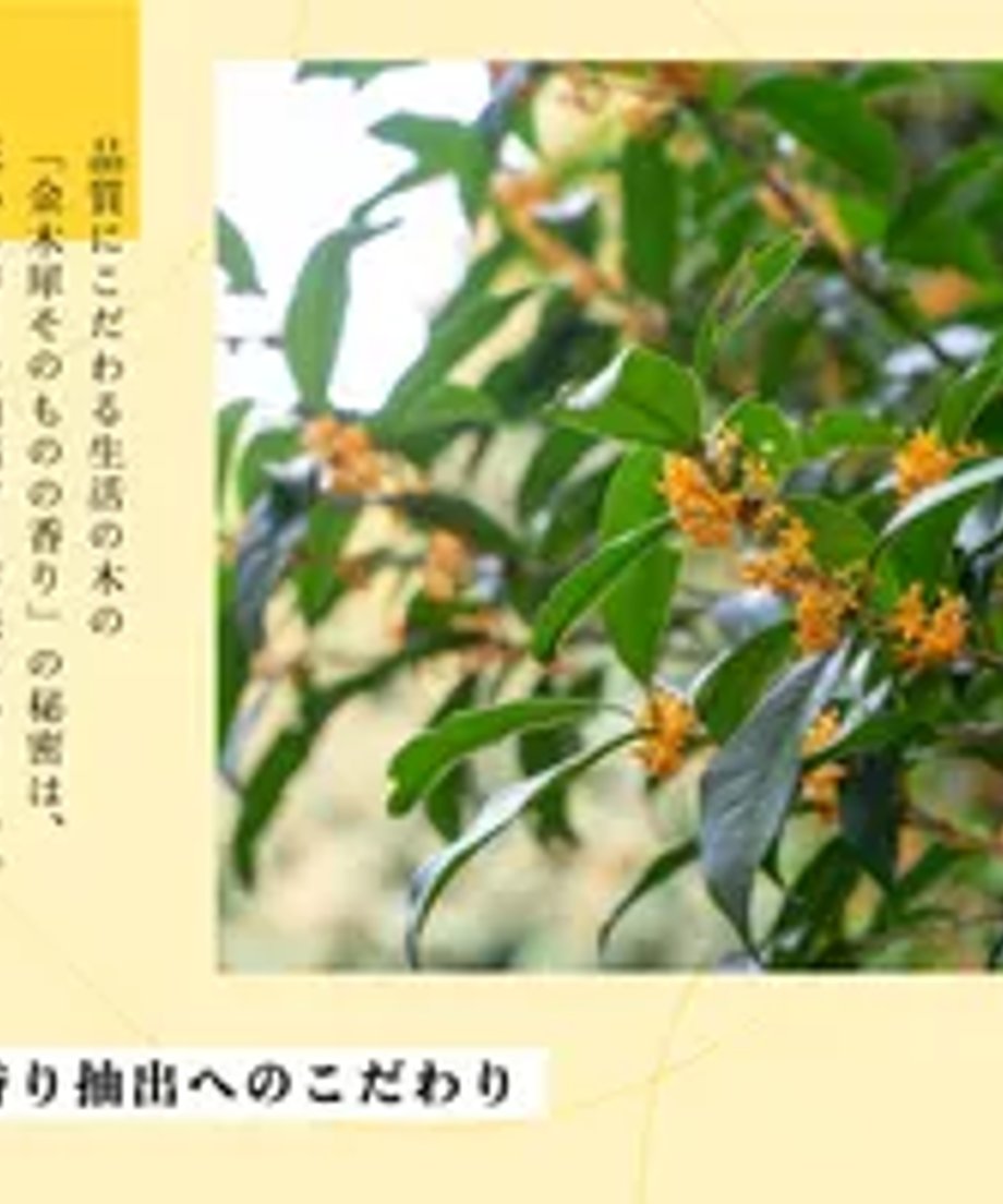 6a2ba9501b359a0c492e91e1