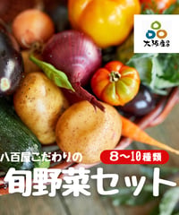 八百屋こだわりの旬野菜セット８～１０種類≪２～３人前１週間分≫≪４～５人前１週間分≫