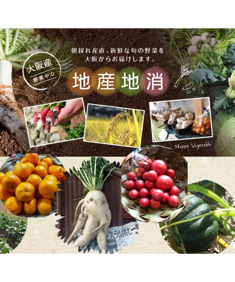 八百屋こだわりの旬野菜セット８～１０種類≪２～３人前１週間分≫≪４～５人前１週間分≫