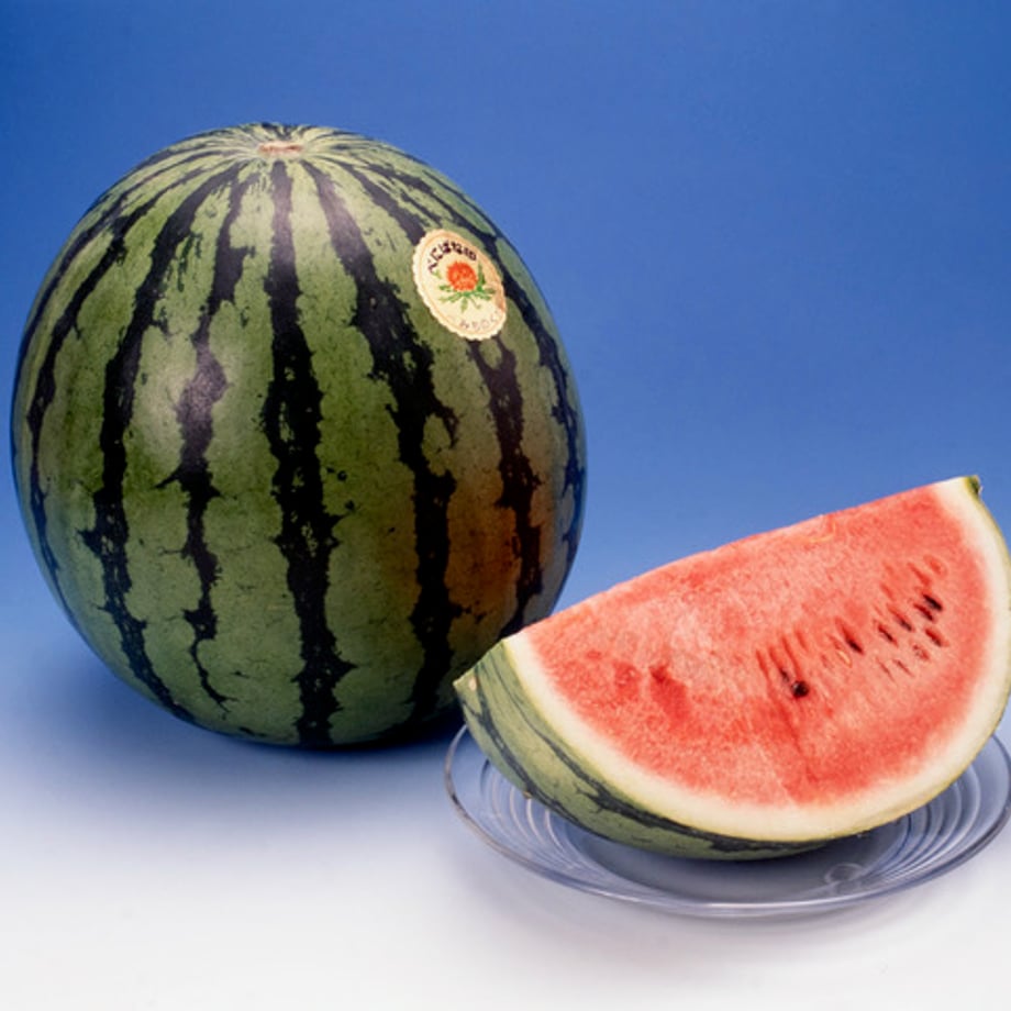 6a1a7b5e73ce6eedee91c7ab