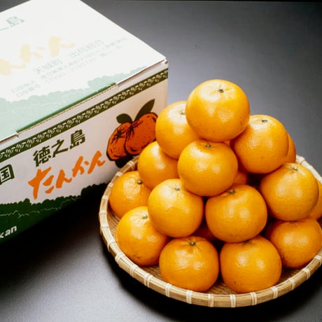 【定期便】伊藤さんのうまいもの便-5000円プラン-