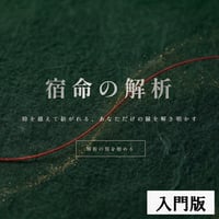 宿命鑑定書『結 -MUSUBI-』｜宿命の核を読み解く「根源の設計図」（第1章〜第5章）