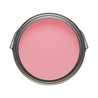 No.RK_3｜STOMACH PINK（ストマック・ピンク）by RYUJI KAMIYAMA