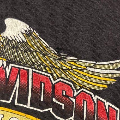 80s Harley-Davidson "BLACK RIVER FALLS, WISCONSIN" プリントTシャツ