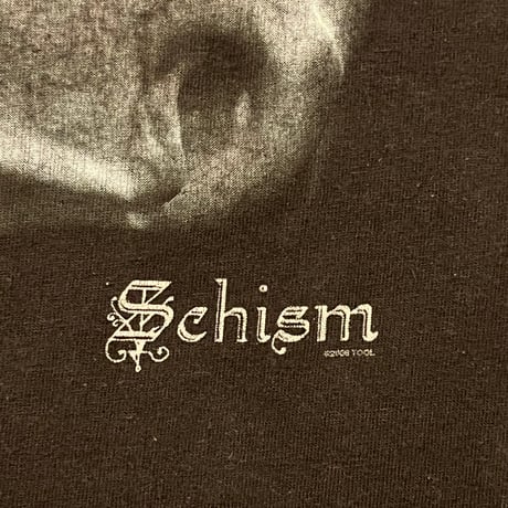 00s TOOL "Schism" バンドTシャツ