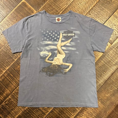 HARLEY-DAVIDSON HILLBILLY GATLINBURG Tシャツ