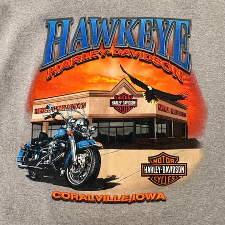 00s Harley-Davidson Scull Wing プリントスウェット