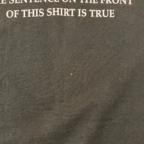 90s FRUIT OF THE LOOM プリントTシャツ