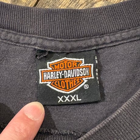 80s HARLEY-DAVIDSON HAWG WILD MISSOURI Tシャツ