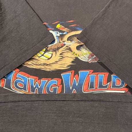80s HARLEY-DAVIDSON HAWG WILD MISSOURI Tシャツ