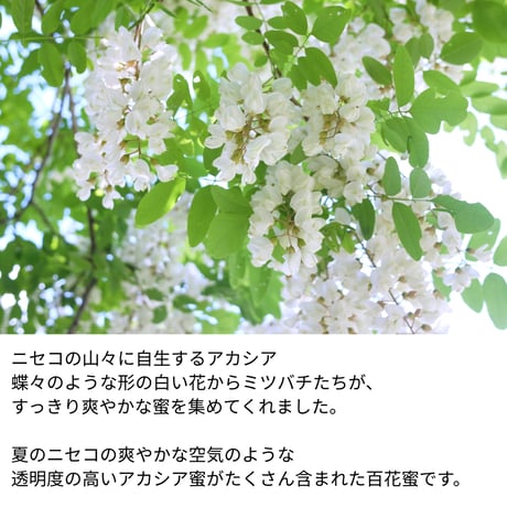 【ニセコの山の恵み】ハチミツ（百花）190g