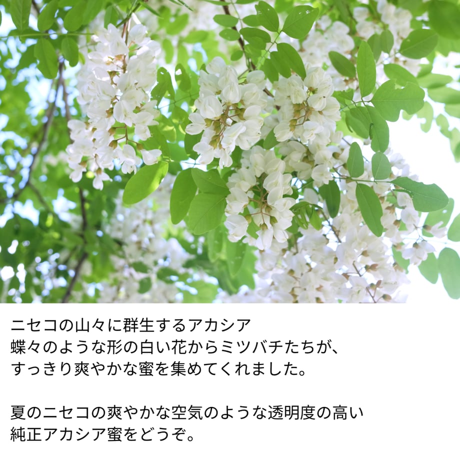 69c4e36281cb29750fddcfe2
