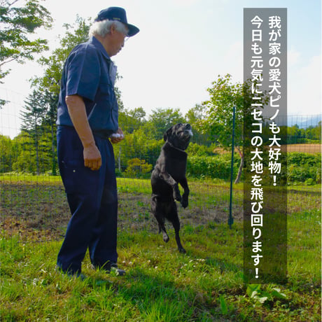 【高鮮度エゾ鹿肉使用】 ペット用エゾ鹿肉ジャーキー 70g
