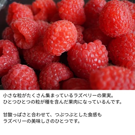 【北海道産オーガニック栽培】 ラズベリーソース 140g
