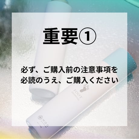 【2回目以降のご購入はこちら（7掛け）】わおしゃん＋パンフレット