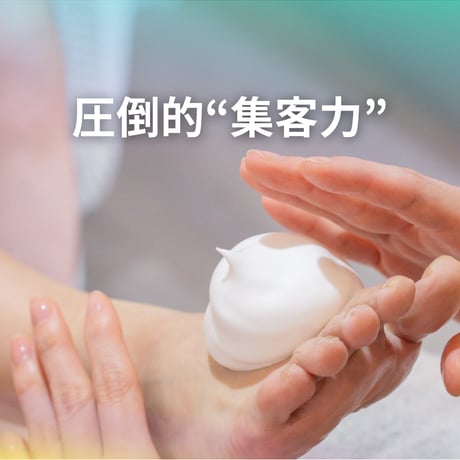 【2回目以降のご購入はこちら（7掛け）】わおしゃん＋パンフレット