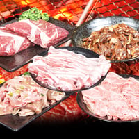 【冷凍便】5種の味をたっぷり堪能！焼肉豪華セット5種 1.2kg※離島配送不可