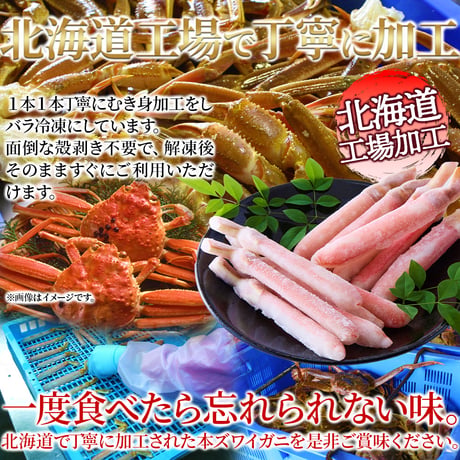 【冷凍便】北海道の工場で丁寧に加工！濃厚な甘味と蟹本来の旨み！【生】本ズワイ蟹むき身ポーション500ｇ※沖縄・離島配送不可