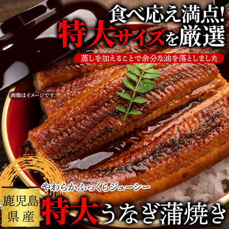 【冷凍便】日本ギフト大賞鹿児島県賞受賞!!国産特大うなぎ蒲焼き200g×2袋※離島配送不可