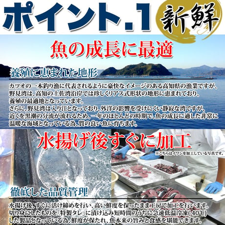 【冷凍便】流水解凍約5分!!鮮度抜群の絶品丼ぶりをご自宅で!!国産ぶっかけ漬け丼2種（鯛×3食、鰤×3食）※離島配送不可