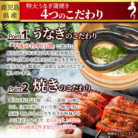 【冷凍便】日本ギフト大賞鹿児島県賞受賞!!国産特大うなぎ蒲焼き200g×2袋※離島配送不可