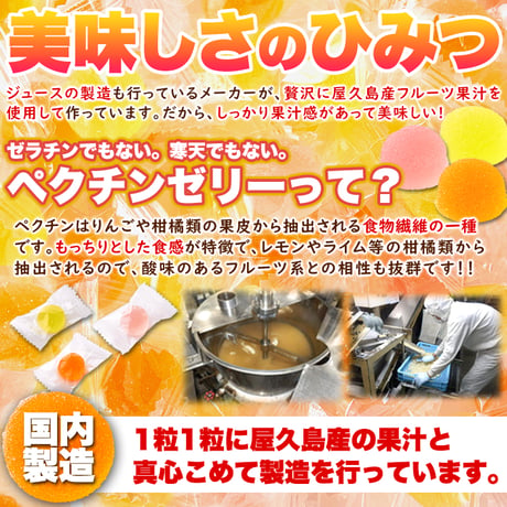 屋久島産フルーツ果汁使用!!【お徳用】屋久島フルーツのペクチンゼリー3種500g(パッションフルーツ、たんかん、すもも)※離島配送不可